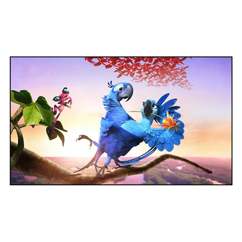 ¿Cómo mejora la pantalla de marco fijo su experiencia visual?